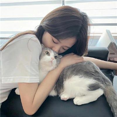 智理想情人 海报