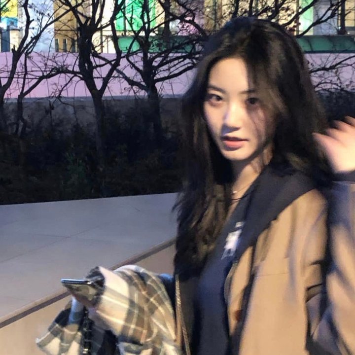 胡杨女人 海报