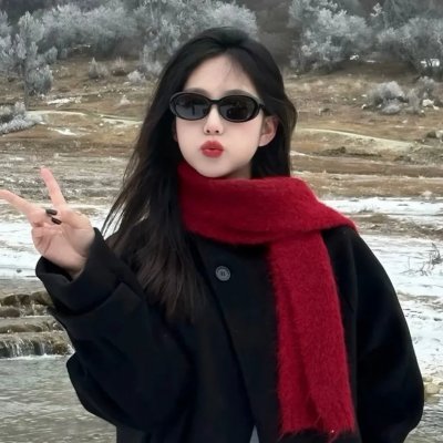 我是你的野蛮女友 海报